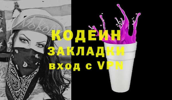 прущие грибы Переславль-Залесский