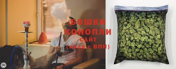 прущие грибы Бугульма