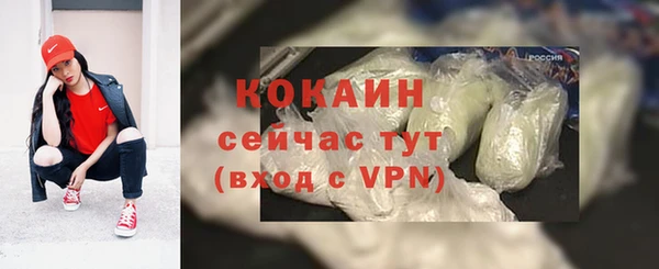 сатива Бронницы