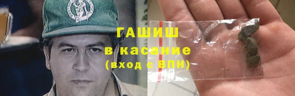 сатива Пересвет