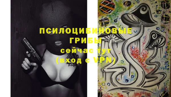 эйфоретик Пестово