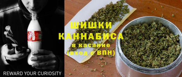 прущие грибы Бугульма