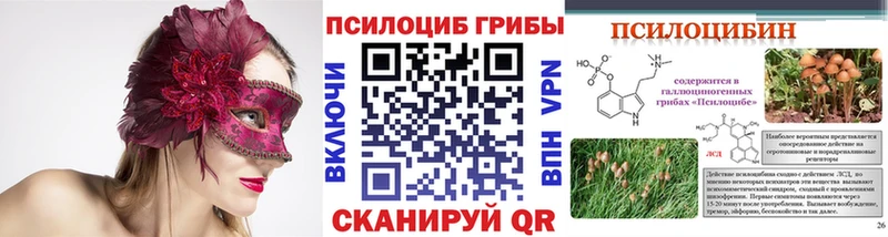 магазин продажи   ОМГ ОМГ рабочий сайт  Псилоцибиновые грибы мицелий  Гусь-Хрустальный 